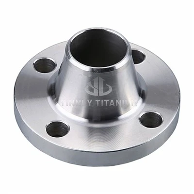 Titanium Welded Neck Flange
